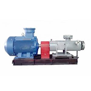 2Ga(b)系列雙螺桿泵圖一產(chǎn)品圖1